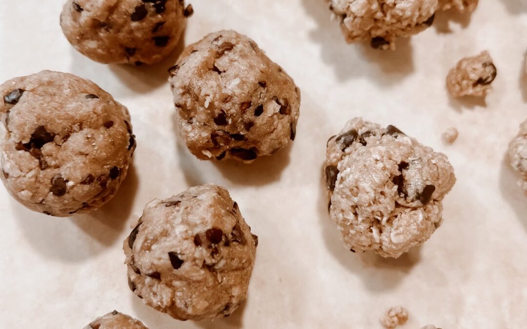 Protein Bites